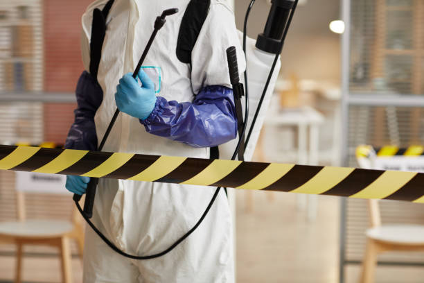 Professional Sewage Cleanup technician working in Prairie Grove, AR